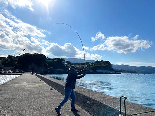 釣れたタカべを使って泳がせ釣りだ!
