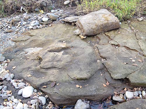 意外に滑る川辺の岩。ルアーはサクサク刺さってしまう