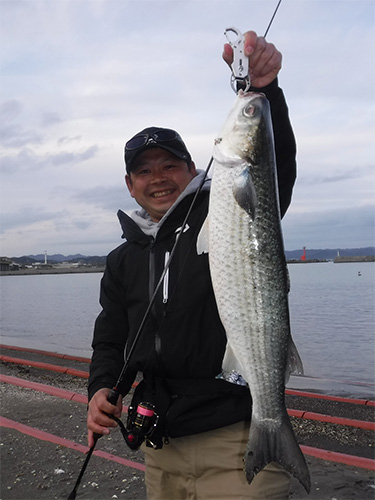 これが渡邉さんの釣った冬のボラ。ランカーサイズだ。このサイズ相手に0.15号のラインで戦うのはスリル満点。