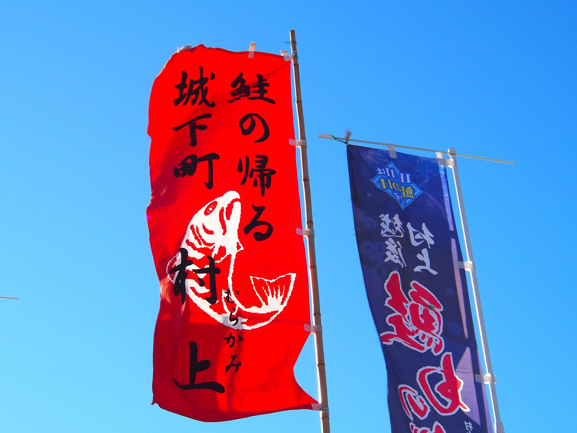 青空にはためくノボリ。ノボリの文字通り、新潟県の村上市は「鮭の帰る城下町」だ。そして、塩引きをはじめ、川のサケを大事に食する文化が根付く、サケ愛の溢れる土地なのだ