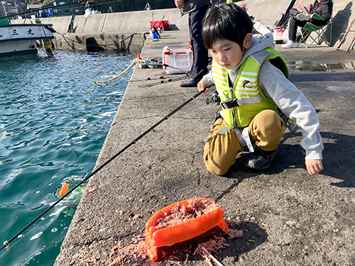 トリックサビキの餌付けも手慣れたもの