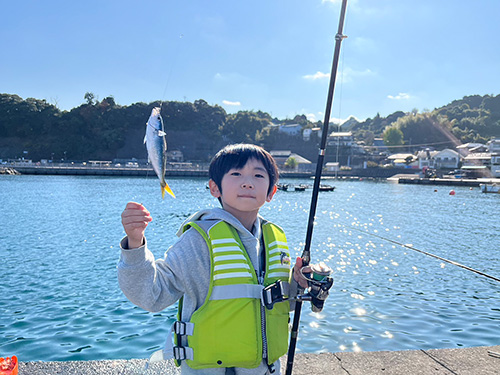 トリックサビキで釣り上げたタカベ