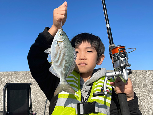 この日の最大魚は30cm弱のイスズミ