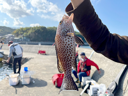 この日一番の高級魚をゲット