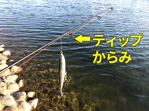 ロッドティップに巻き付いたたらし。これを「ティップからみ」と名付ける。
