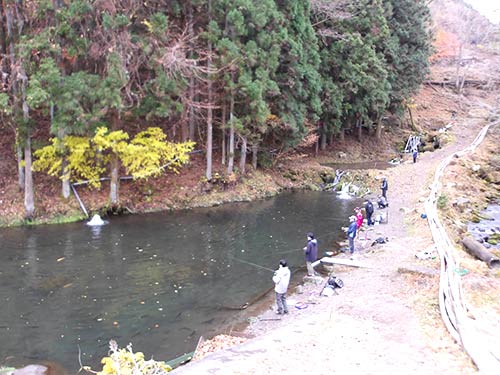 9号池から見下ろした7号、8号池