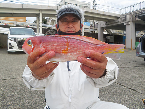 大型も顔を出すので今後も楽しみ