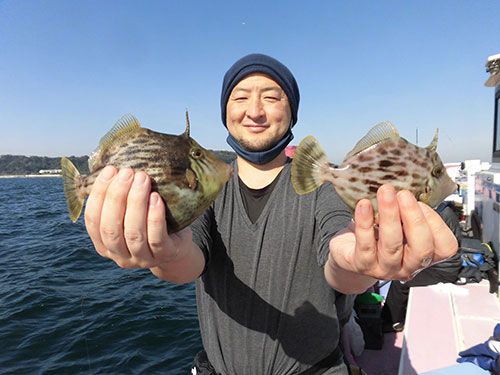 終盤に入ってもカワハギは好調に釣れた!
