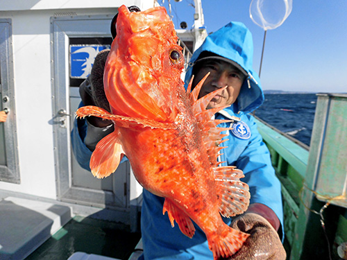 諦めず頑張る釣師に、釣果は訪れる