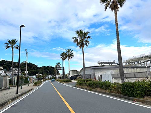 島内に入りヤシの木沿いに進むとパーキングが出てくる