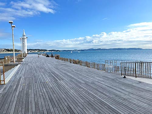 外海側はウッドデッキになっていて、その外側が釣り場。柵が設置されているがかなりの高さとなっている。
