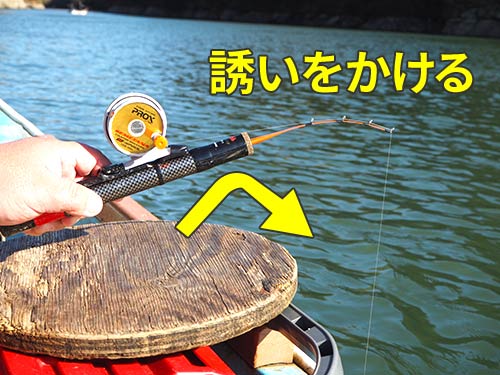 3)ほんの少し竿をしゃくるようにして誘いをかける。これを何度もやる。