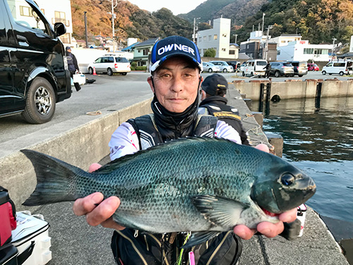沖の沈み根周辺を攻めて41.5cmのクチブトメジナを釣った
