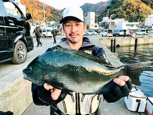 シーズン序盤を飾る44.5cmの良型メジナ