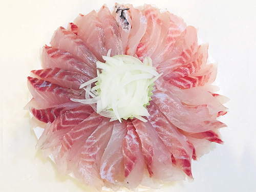 メジナはお刺身でいただいた。季節が進むとますます美味しくなる。楽しみだ!