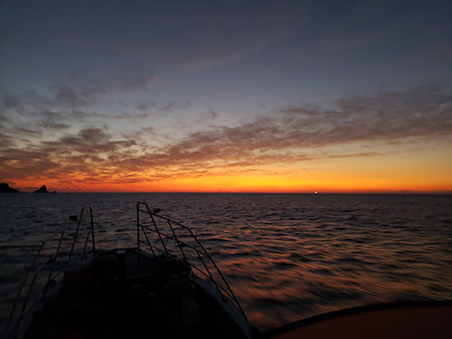 夜明けの時間帯、海にはウネリがあった。