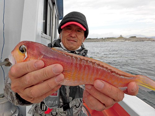 右舷大ドモでもアマダイが釣れていた!