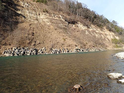 『道の駅大岡特産センター』前の流れ
