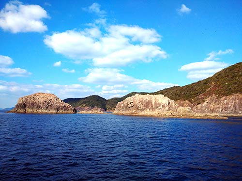 椛島大小瀬全景