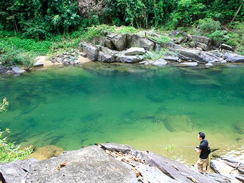 タイとミャンマー国境付近を流れる清流。こういう場所にも大きなシャドーが泳いでいた