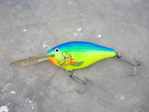 釣り方その2。稚魚ボール撃ちならディープクランクやポッパーなど。水面付近を漂う真っ赤な稚魚の塊の下には稚魚を守る親魚がいるので、そいつを直撃するのだ。日本のライギョ釣りではタブー視されている釣り方だが、場所が変われば常識も変わるのである