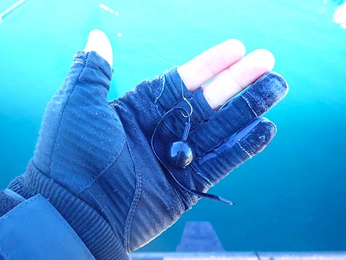 小まめなタナ調整が重要だ