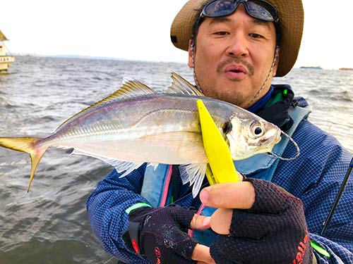 バーチカルコンタクトで釣りあげた身厚のアジ。肉質もかなりイイが今回の主役はあくまでも骨だ。骨せんべいを考えた場合、大型のアジ1匹よりも、小アジ3匹のほうがありがたい(笑)