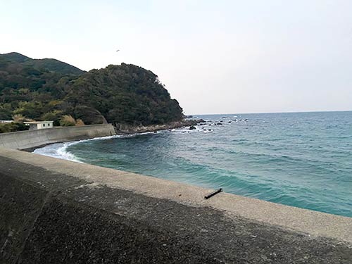 駐車場付近から