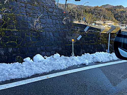 南国土佐にはまだ雪が残っていた