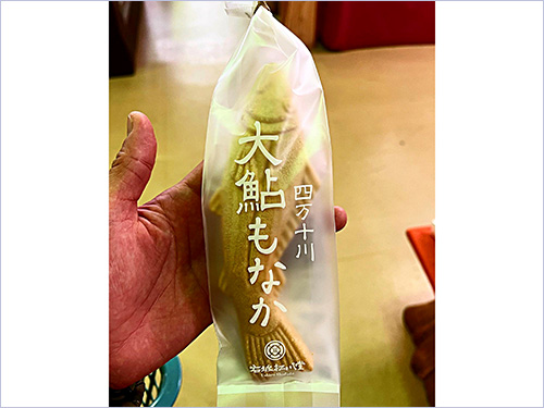 大アユ発見!また夏に来るきね~!