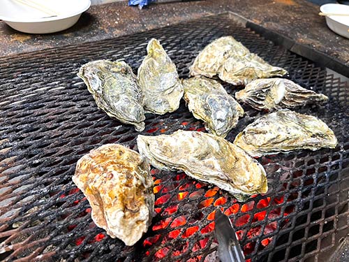 年越しは釣り仲間と牡蠣で一杯!