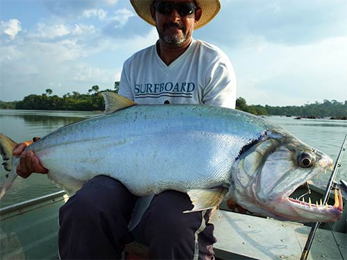 バドが釣った102cmの大物。エサ釣りの方が釣れるサイズが明らかにデカかったが、なかでもコイツは特大。青みがかったシルバーが美しい