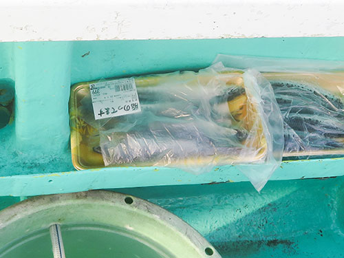 こちらも岩手産。「脂のってます」か「お買い得」か、各アングラーに任せたい部分だ