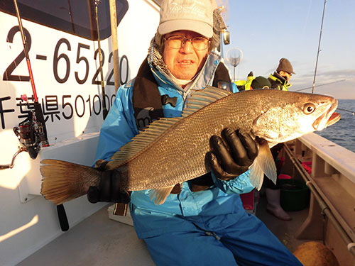 70cm級のオオニベ!「初めて釣ったよ!」