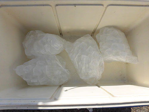 追加の氷は1袋100円
