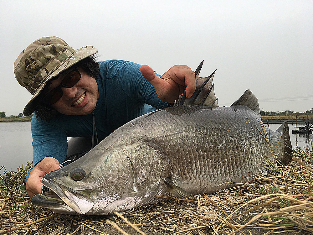 養殖池のバラマンディ。怪魚釣り堀にくらべて釣るのは簡単。一時期、釣具メーカーも宣伝のためによく利用していたような気もする