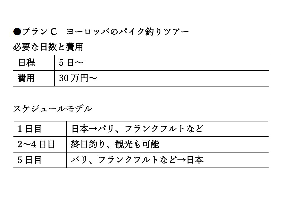 ヨーロッパの街中フィッシングはガイドなしで全然可能。なので、釣りの費用は安く済むのだが…航空券代や宿泊費などが高い。なお、ほとんどの場所でライセンスが必要なので、釣具屋さんや各種機関で購入すべし