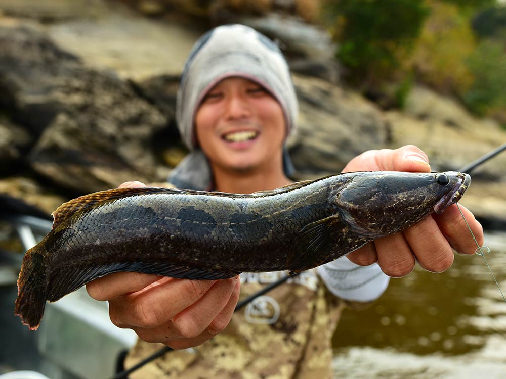 健ちゃんが釣ったムングース(アフリカンスネークヘッド)。ムベンガのアタリを待ちながらミミズで五目釣りをするのも楽しい