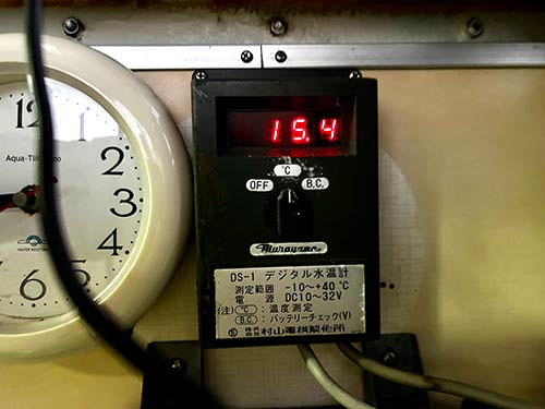 海水温の把握はその日の戦略に役立つことが多い