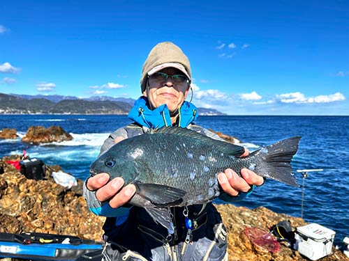 難しい釣り座でゲットした38cmのよく肥えたクチブトメジナ