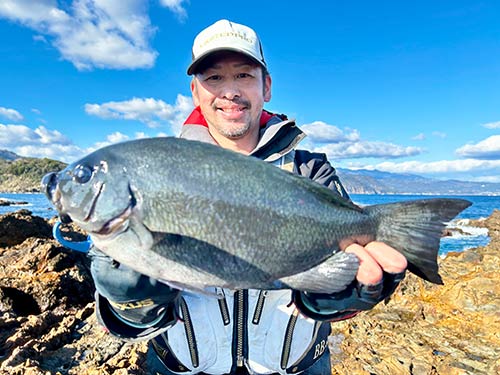 リベンジを果たした42cmの良型メジナ