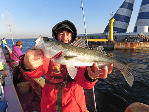 沖で釣れるシーバスは魚体がきれいだ!