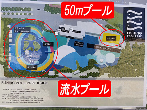 稲プーの釣り場は50mプールと流れるプールの二か所。ルアーフィッシングならどちらでも釣り可能だ