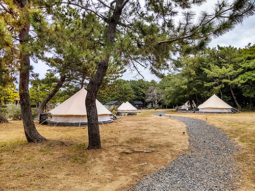 稲毛海浜公園の自然の中でキャンプとBBQが楽しめるので、優雅な釣りグランピングも可能！？