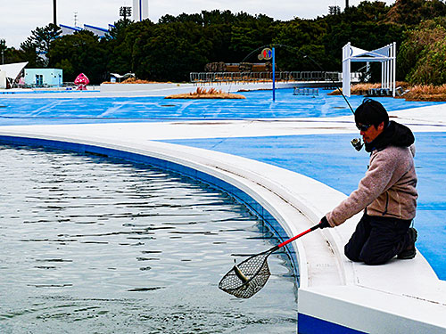 流水プールでは魚影を見つけるのが難しかったが、立川さんはプチモカやピコ・チャタクラで連発