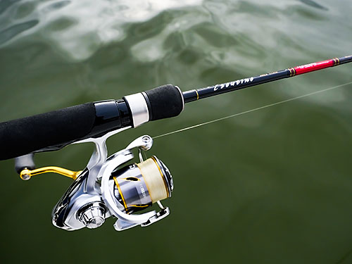 使用タックル／ロッド：トラウティーノTTA-S5102L（メジャークラフト）●リール：フリームスFC LT2000S(DAIWA)●ライン: プレッソデュラブラ1500 2.5ポンド(DAIWA)