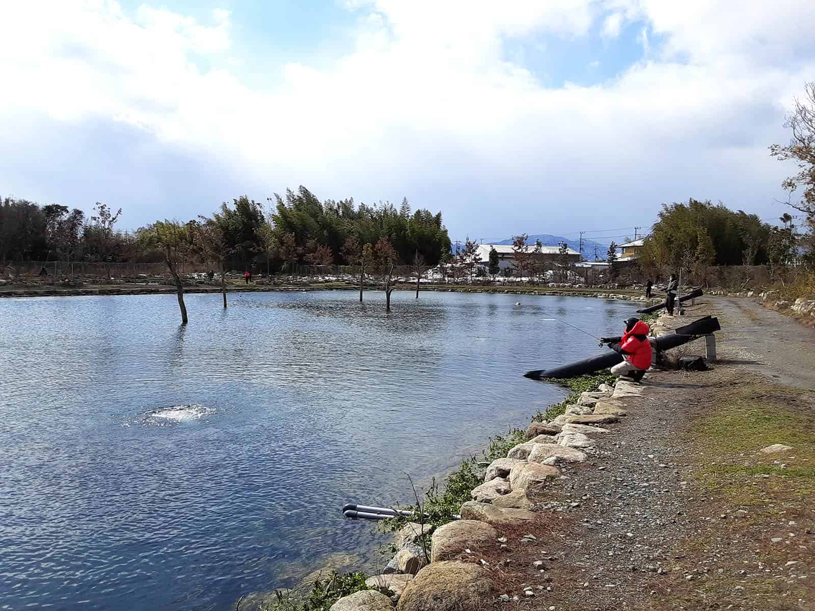 この様に立木、水中には岩がある