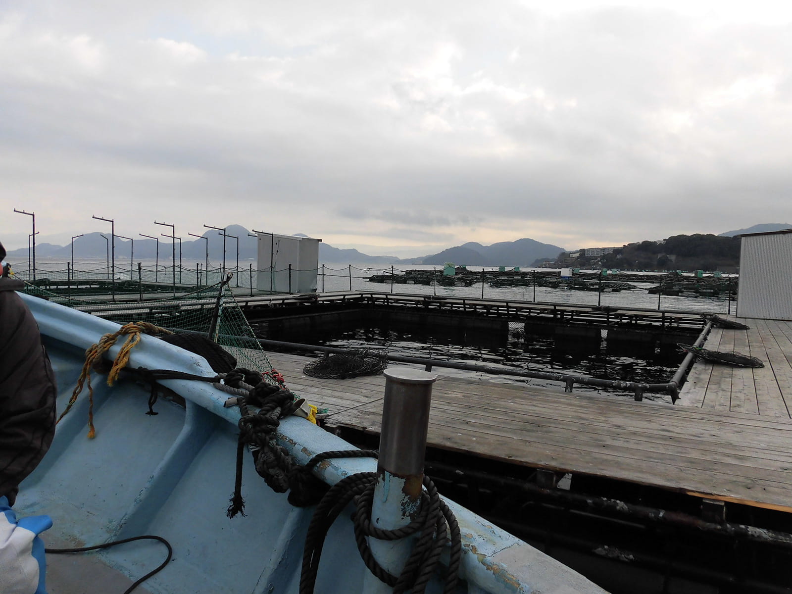 岸壁を離れて5分程で筏に到着