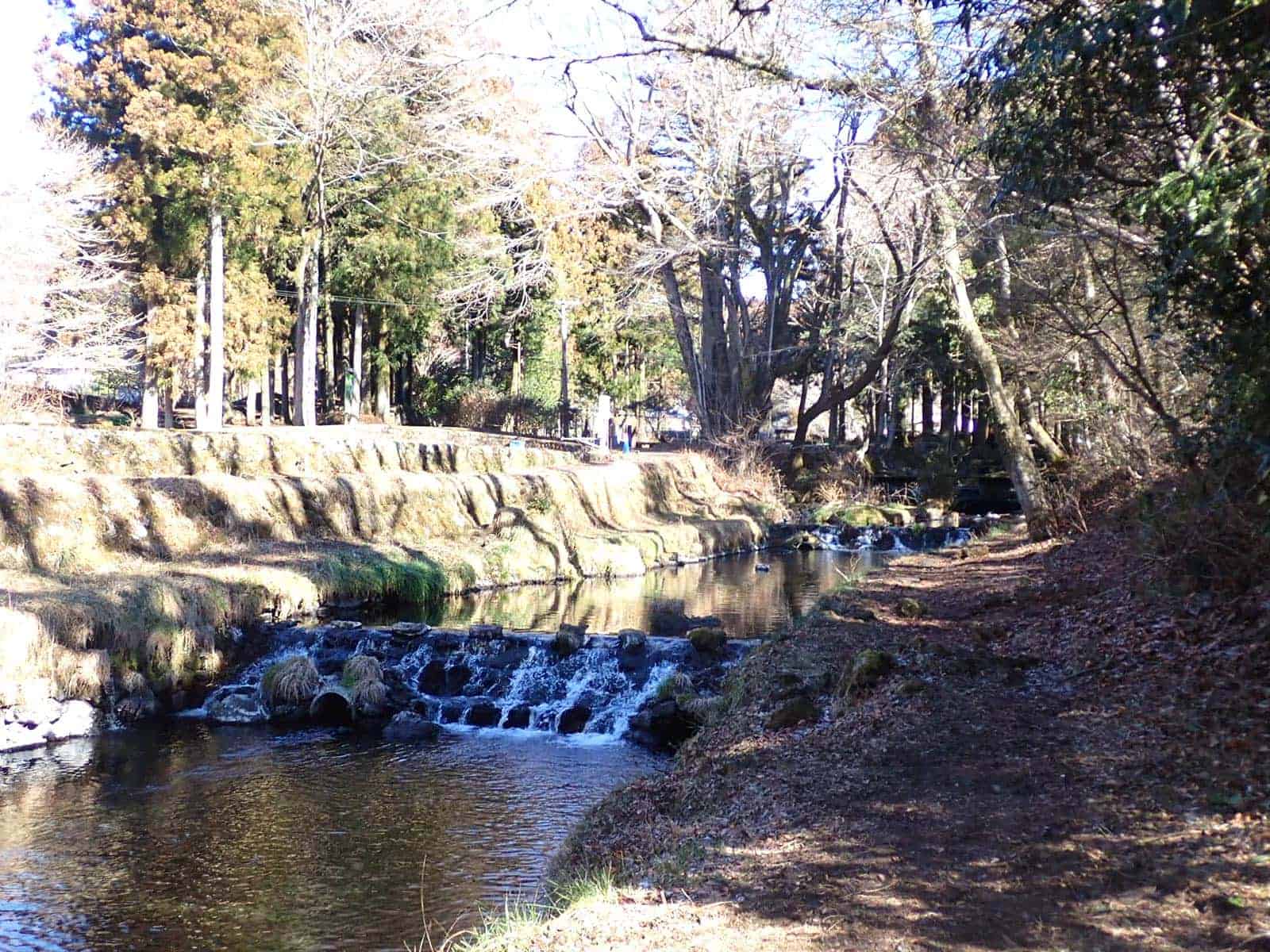 ルアー・フライ可能の釣り場最下流部（4段目）から上流方向の風景