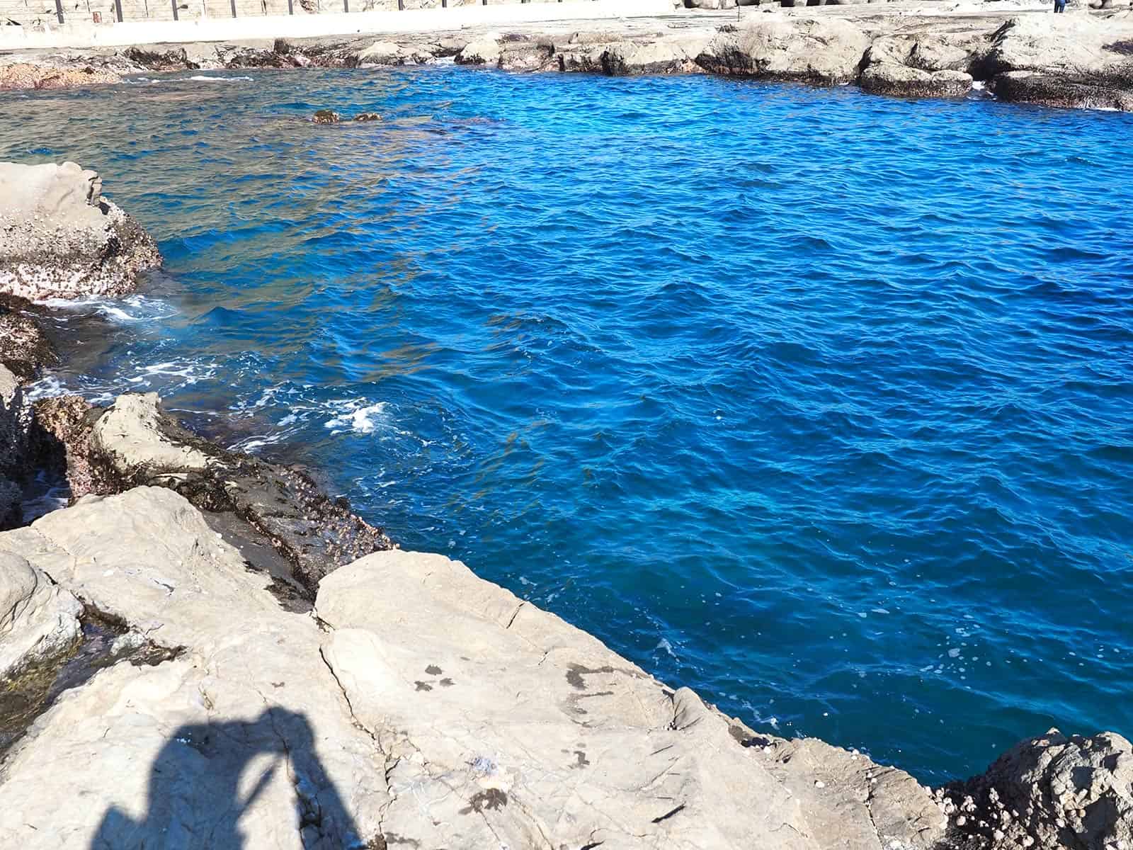 釜の口と水道口の間のワンドが今回のポイント、真ん中に見える根がある。上げ潮が効くとワンドから沖に吐き出す流れができ、このタイミングが釣れる